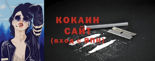 PSILOCYBIN Бронницы