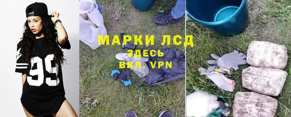 PSILOCYBIN Бронницы