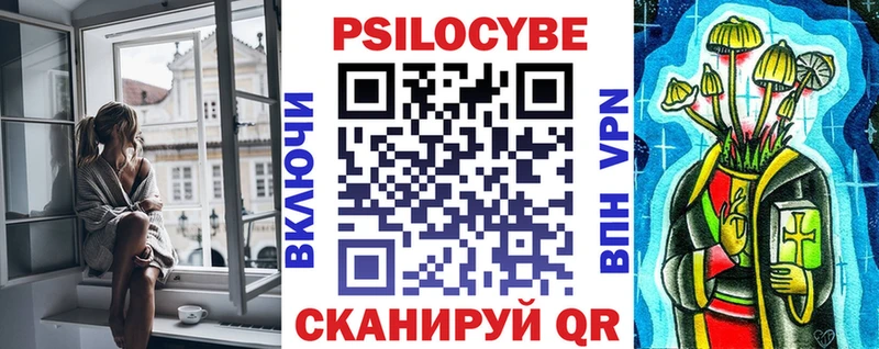 Купить закладки Гвардейск Галлюциногенные грибы Psilocybine cubensis